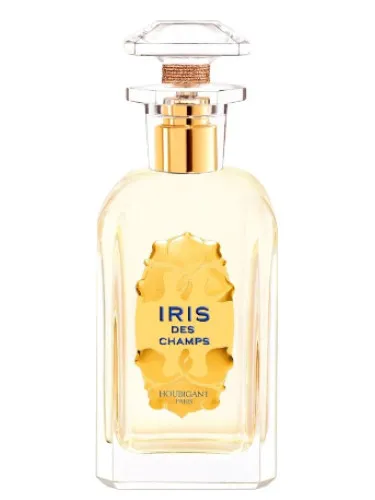 Iris des Champs
