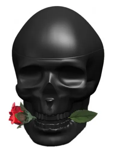 Ed Hardy Skulls & Roses for Him