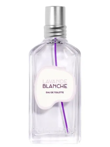 Lavande Blanche