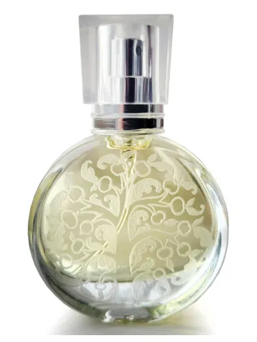 Apples of Youth Molodilnye Yabloki