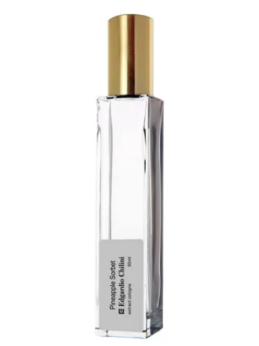 Pineapple Sorbet (Ananasovyy Sorbe)