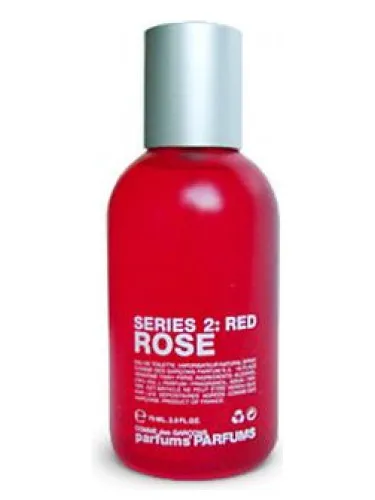 Comme des Garcons Series 2 Red: Rose