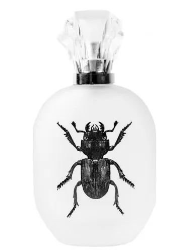 Alessandro Manfredini