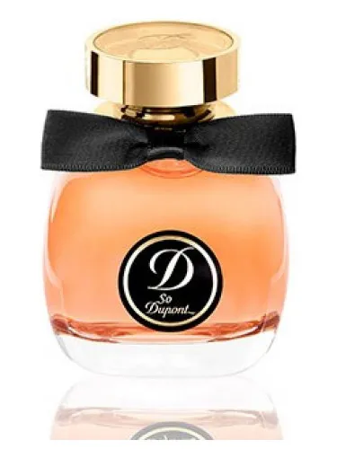 So Dupont Paris by Night Pour Femme