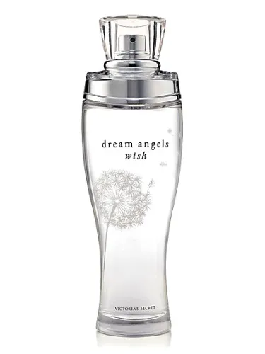 Dream Angels Wish