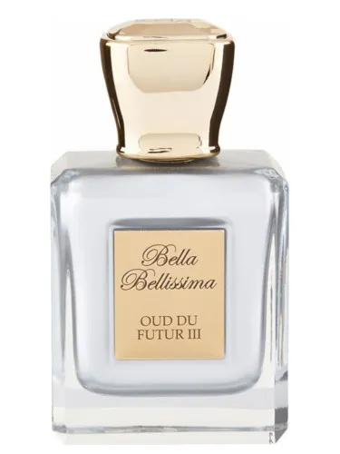 Oud Du Futur III