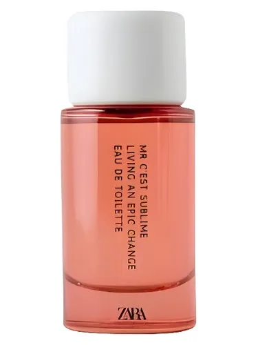 Mr C'est Sublime Living An Epic Change