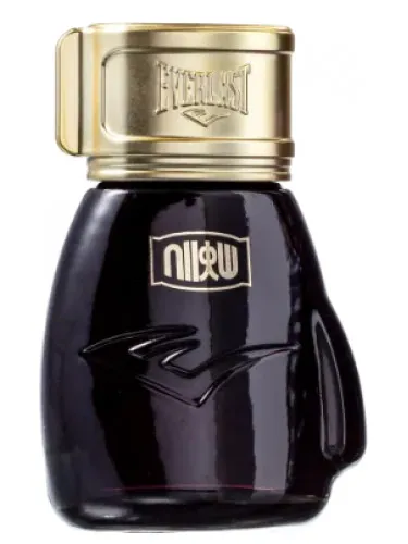 Choice Of Champions Street Fighter Metro City