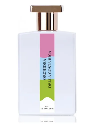 Orchidea della Costa Rica