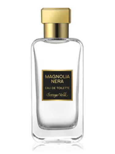 Magnolia Nera