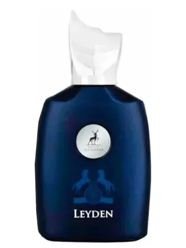 Leyden