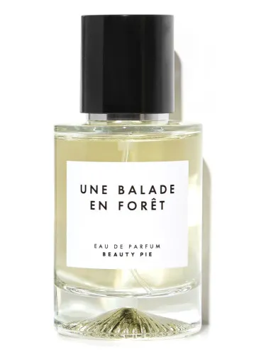 Une Balade En Forêt