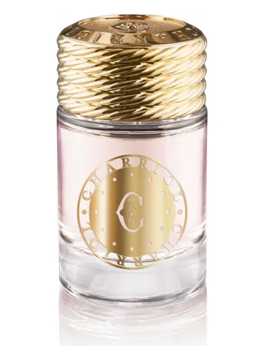 Infinite Celtic For Women