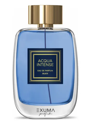 Acqua Intense Man