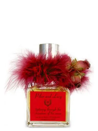 Tiptoeing Through Chambers of the Moon