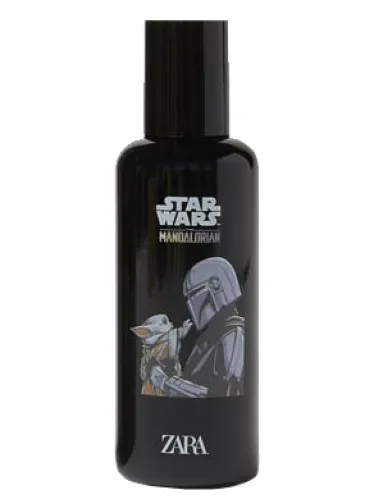 Star Wars The Mandalorian