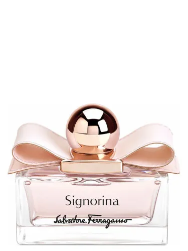 Signorina Leather Edition