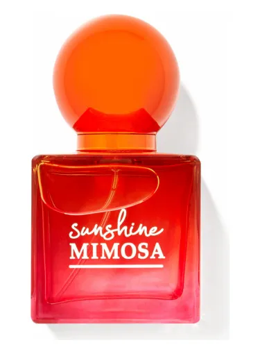 Sunshine Mimosa