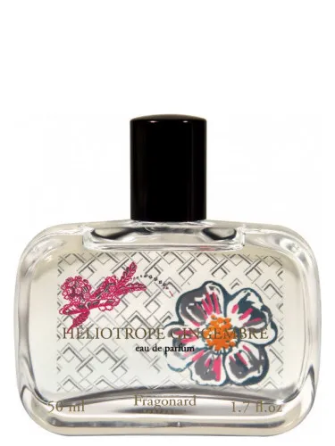 Héliotrope Gingembre