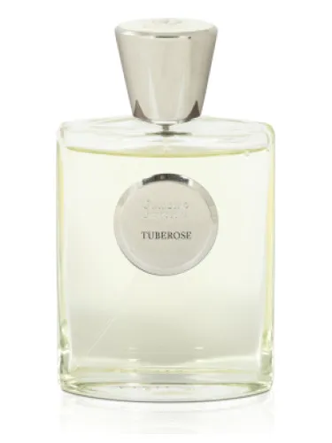 Tuberose