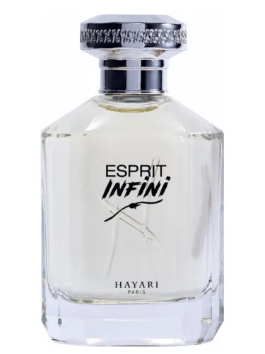 Esprit Infini