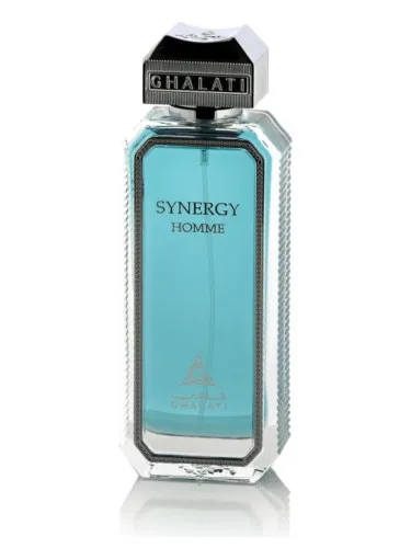 Synergy Homme