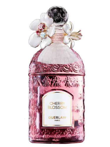 Cherry Blossom Millésime 2024