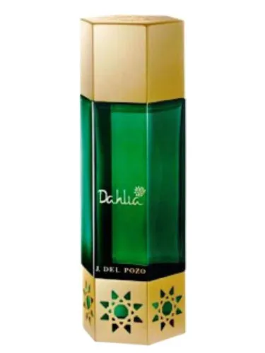 Desert Flowers Dahlia