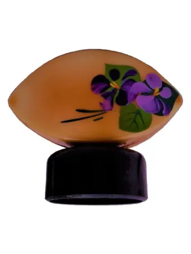 Gornaya fialka (Mountain violet)