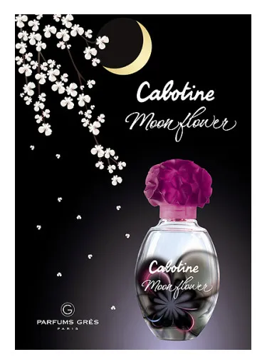 Cabotine Moon Flower