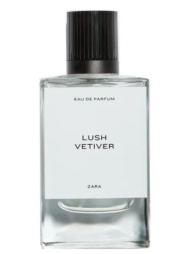 Lush Vetiver
