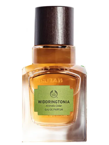 Widdringtonia