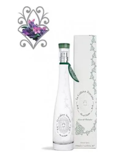 La Collina Toscana Belvedere Holm Oak