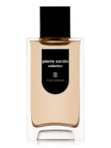 Pierre Cardin Collection Cuir Intense