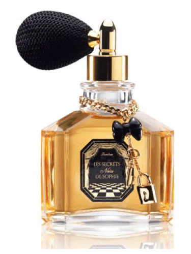 Les Secrets de Sophie