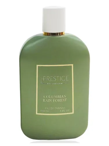 Columbian Rain Forest