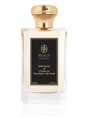 Reflections of Clouds on the Water-Lily Pond