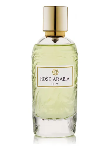 Rose Arabia Lily