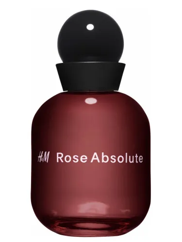 H&M Rose Absolute
