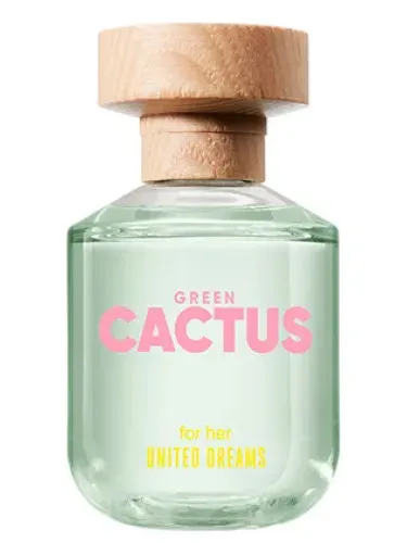 United Dreams Green Cactus For Her