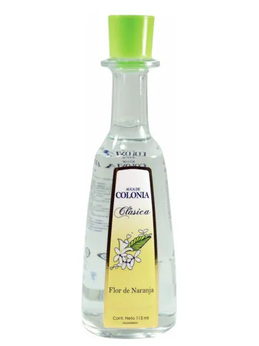 Clásica flor de Naranja