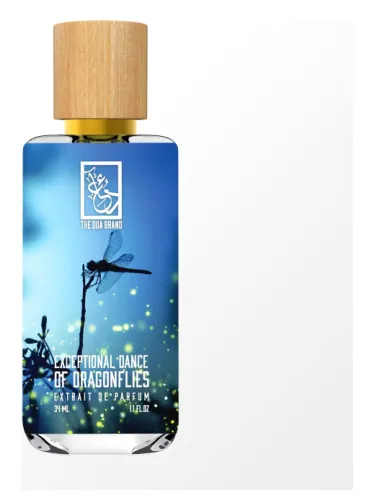 Exceptional Dance Of Dragonflies