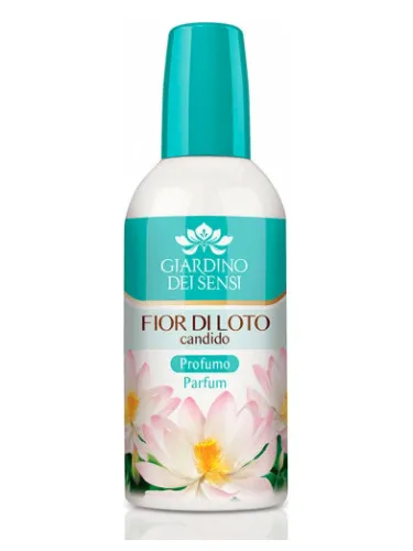 Fior di Loto Candido