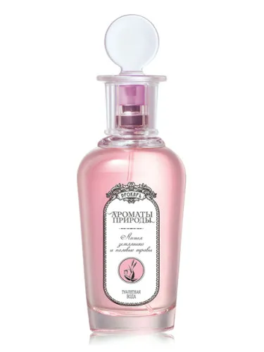 Lesnaya zemlyanika i polevye travy - Wild Strawberry and Herbs