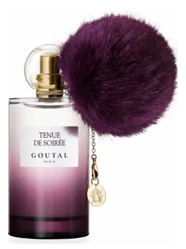 Tenue de Soiree