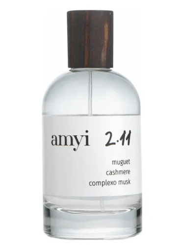 Amyi 2.11