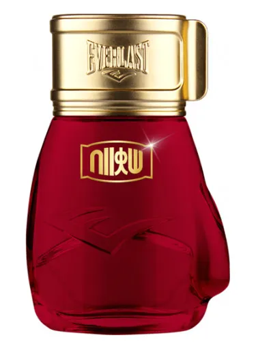 Choice Of Champions Street Fighter Hadouken