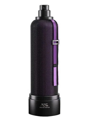 Fashion Intervention