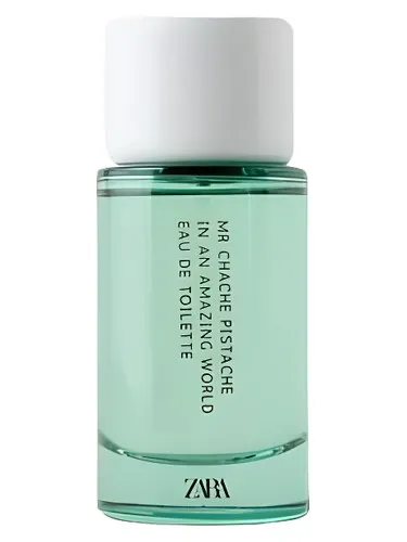 Mr Chache Pistache In An Amazing World