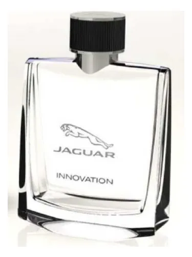 Jaguar Innovation